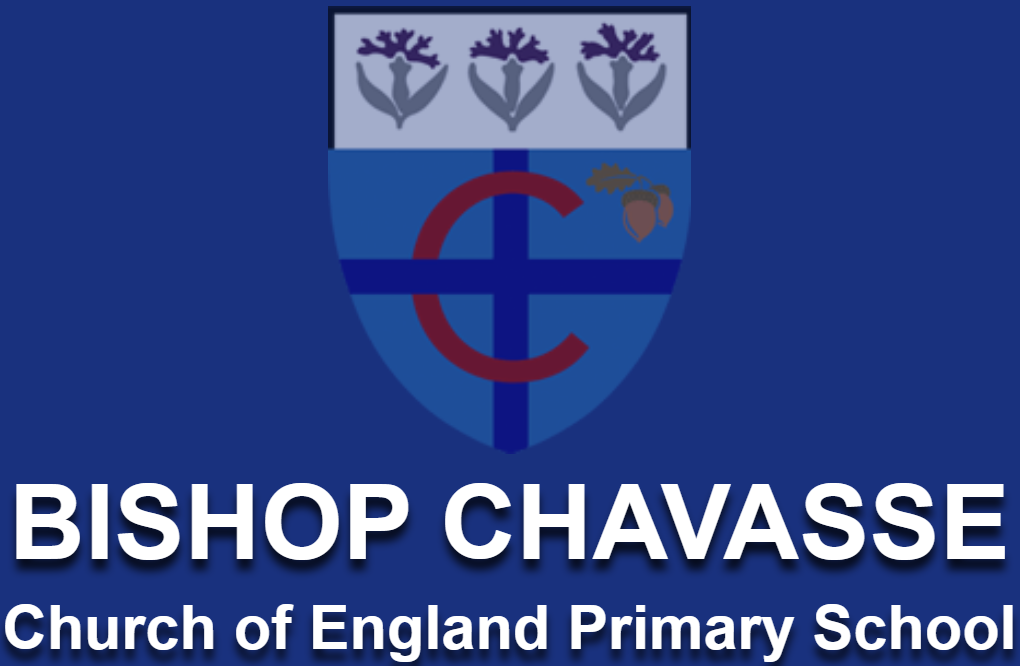 Bishop Chavasse Primary School - ClassDigest.com - Find best preschools ...